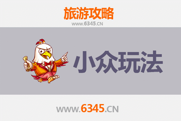 周口小众玩法探秘：穿越时空的豫东文化深度游